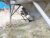 Large Capacity Mobile Central Dust Collector - Image 1
